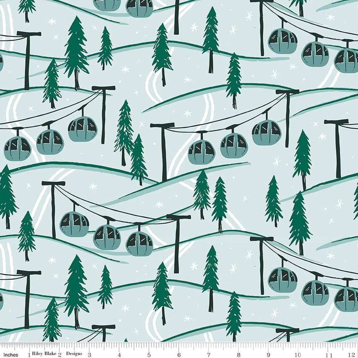 Ski Hill Mountainside, Powder , Half Yard Listing